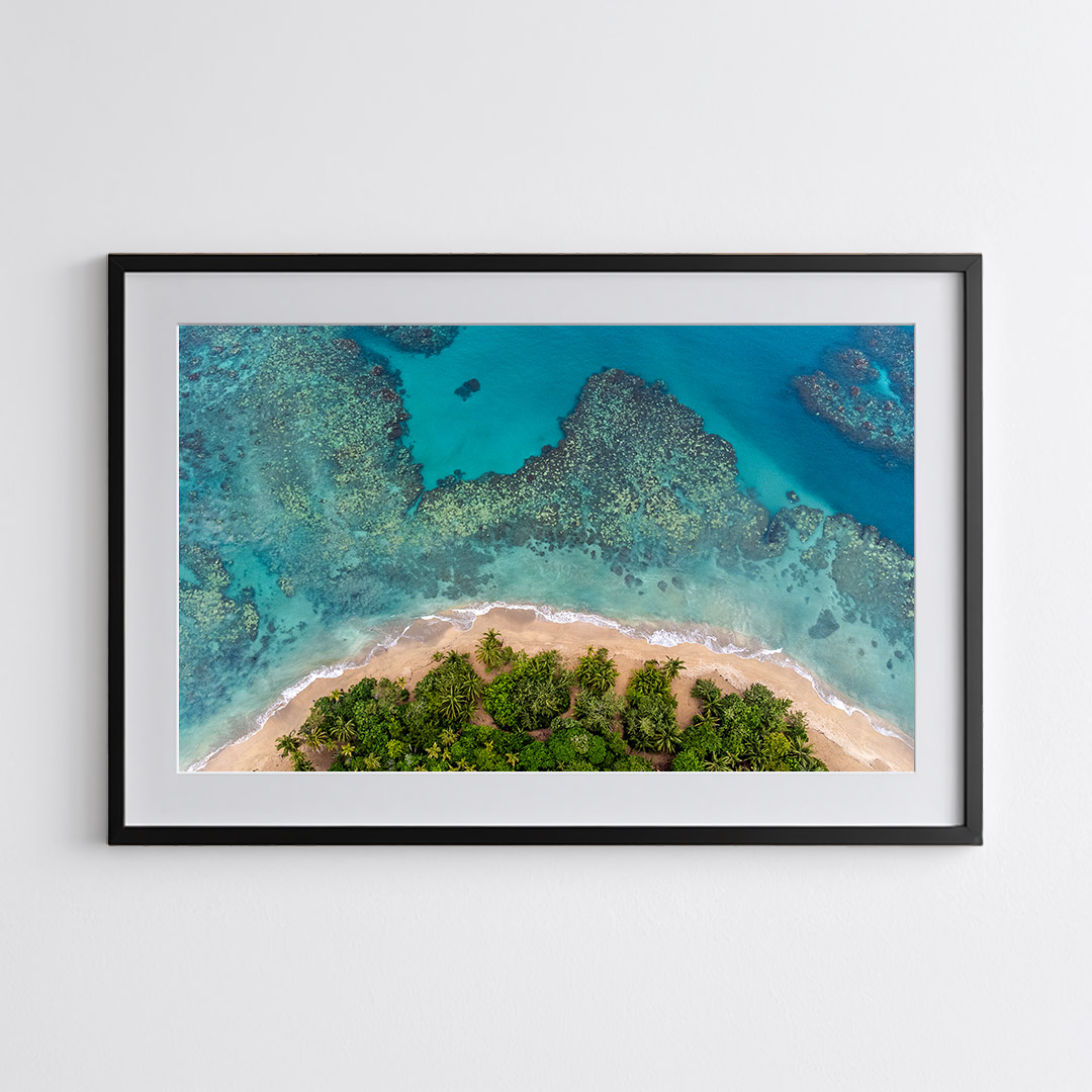 Coral Embrace | Punta Uva, Limón, Costa Rica - Imagen 2
