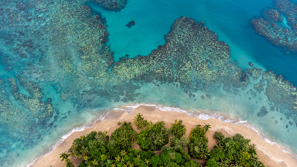 Coral Embrace | Punta Uva, Limón, Costa Rica - Imagen 4