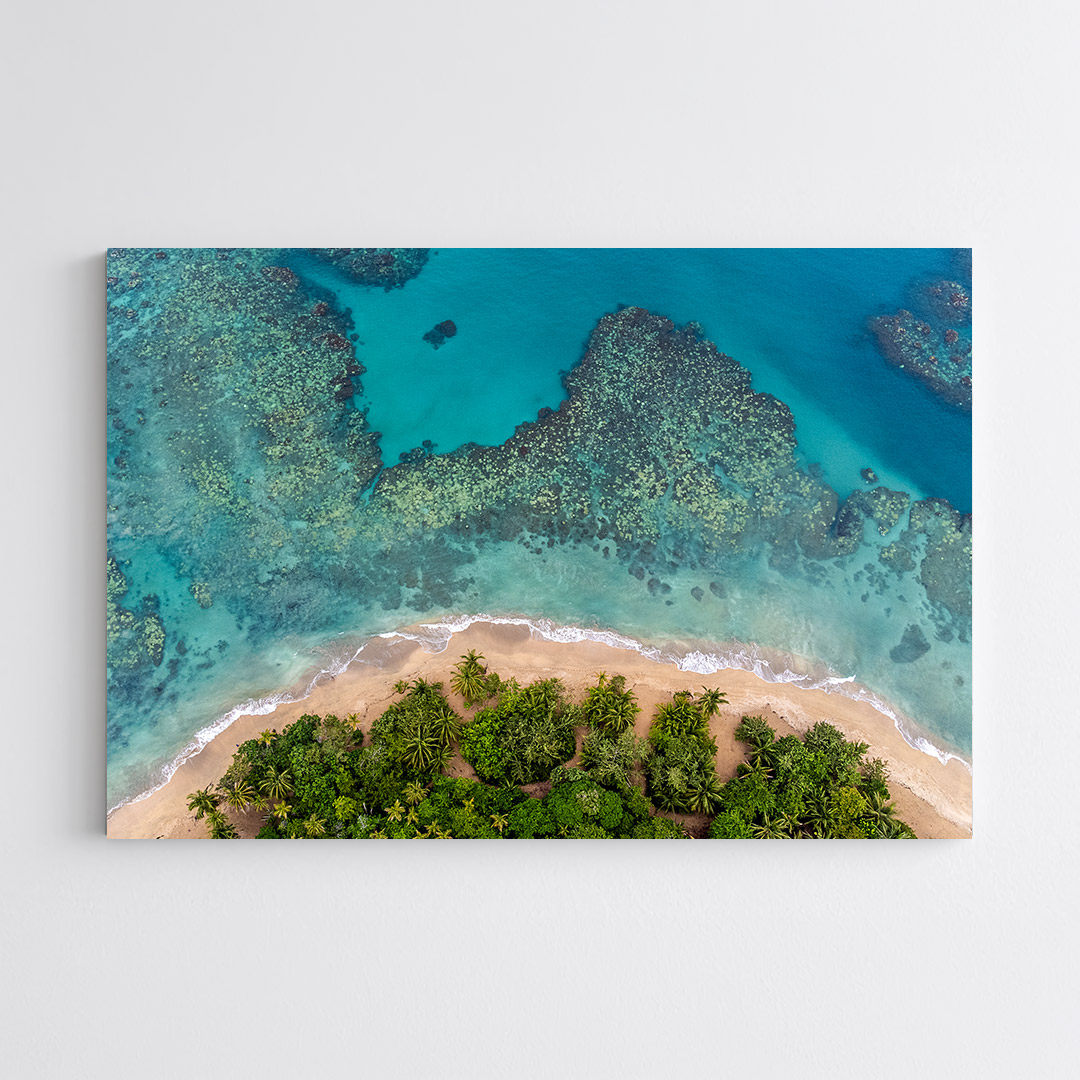 Coral Embrace | Punta Uva, Limón, Costa Rica - Imagen 3